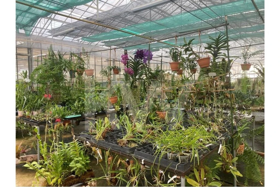 Terreno para Venda em Lagoa e Carvoeiro Foto 41