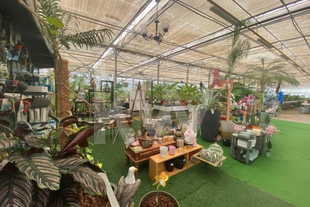 Terreno para Venda em Lagoa e Carvoeiro Foto 8