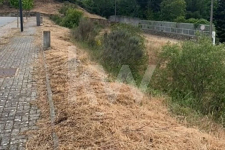 Terreno para Venda em Avelãs de Ambom e Rocamondo Foto 7