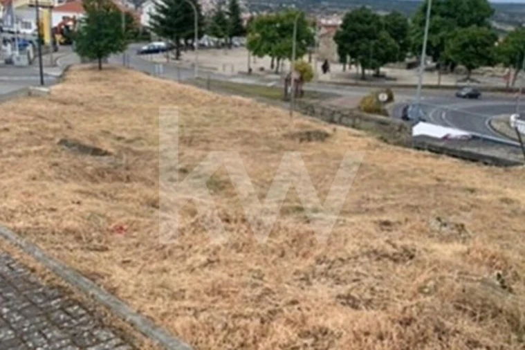 Terreno para Venda em Avelãs de Ambom e Rocamondo Foto 6