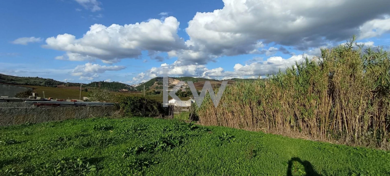 Terreno para Venda em Dois Portos e Runa Foto 2