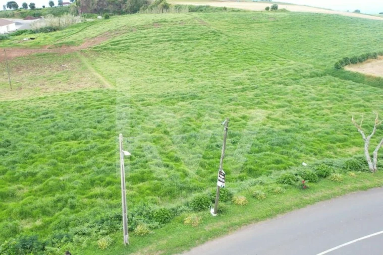 Terreno para Venda em Algarvia Foto 5