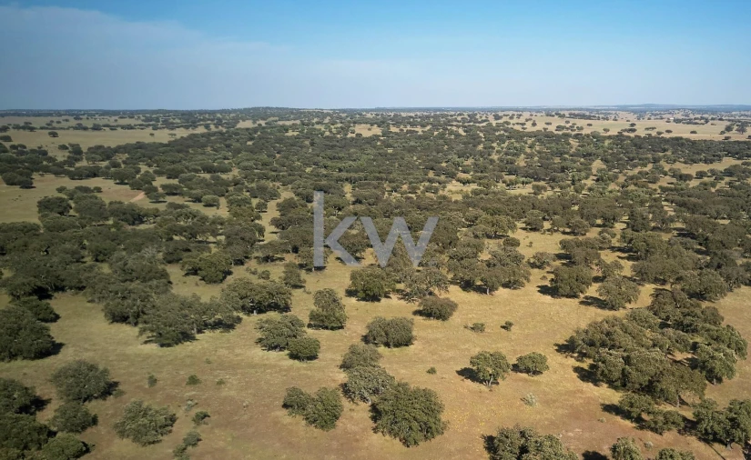 Quinta T5 para Venda em Ameixial (Santa Vitória e São Bento)