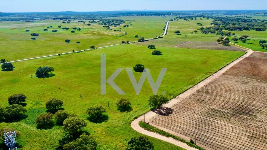 Quinta T10 para Venda em São Cristovão Foto 8