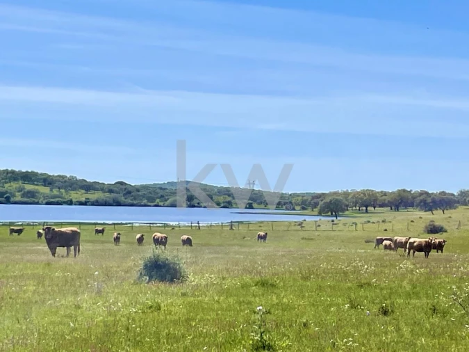 Quinta T10 para Venda em São Cristovão Foto 22