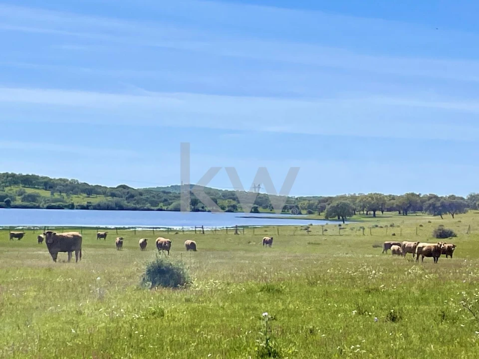 Quinta T10 para Venda em São Cristovão Foto 22