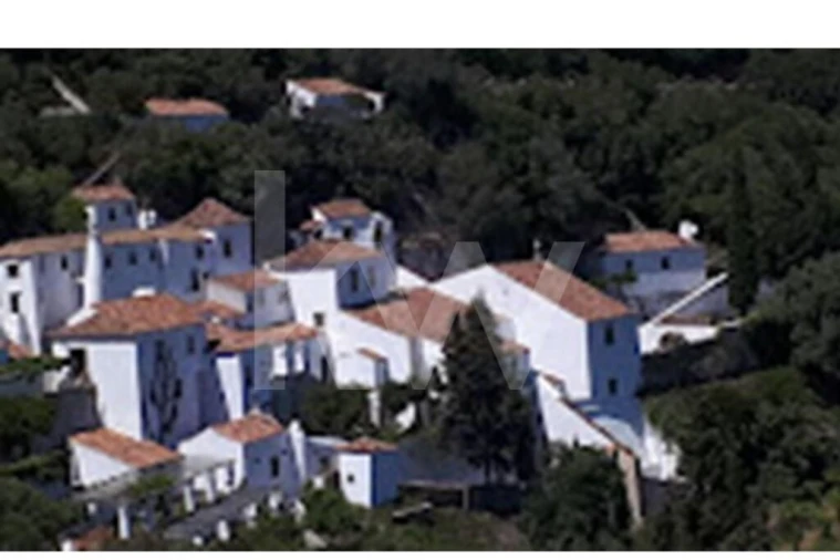 Moradia T5 para Venda em Azeitão (São Lourenço e São Simão) Foto 16