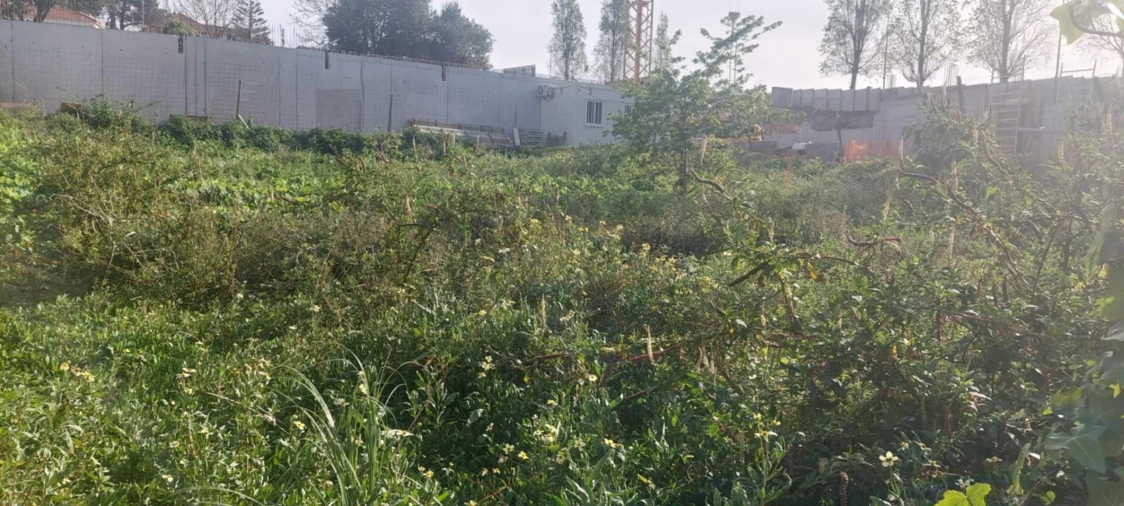 Terreno para Venda em Canidelo Foto 3