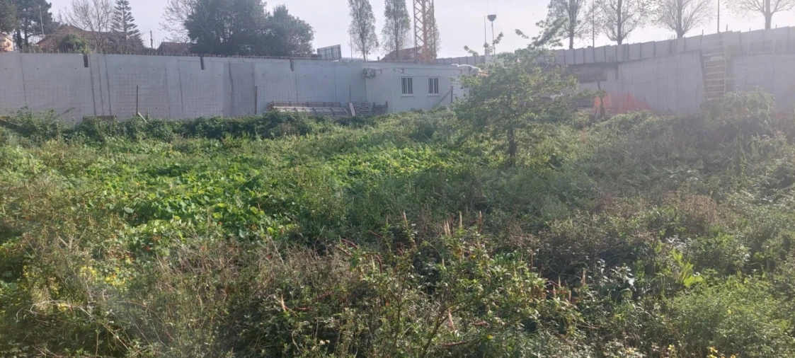 Terreno para Venda em Canidelo Foto 4