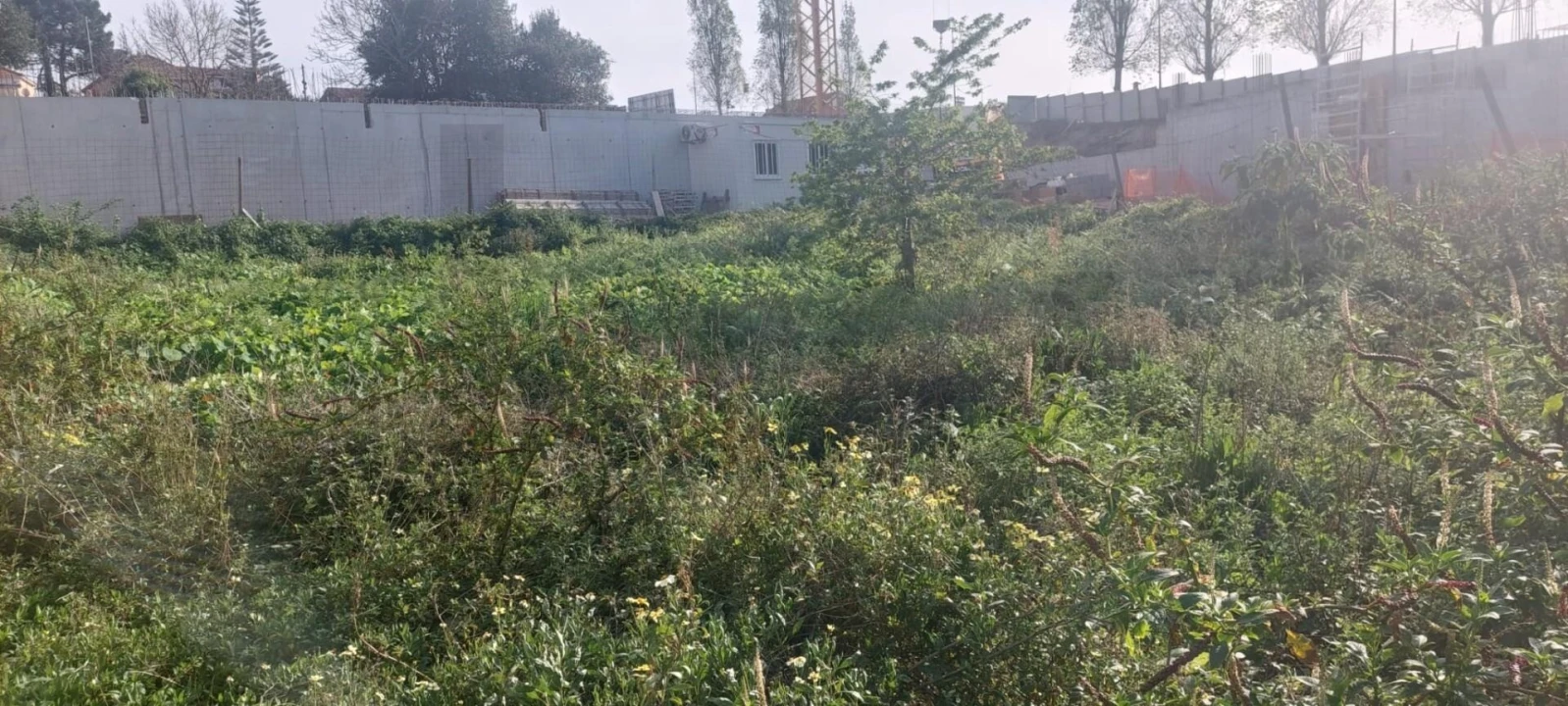 Terreno para Venda em Canidelo Foto 5