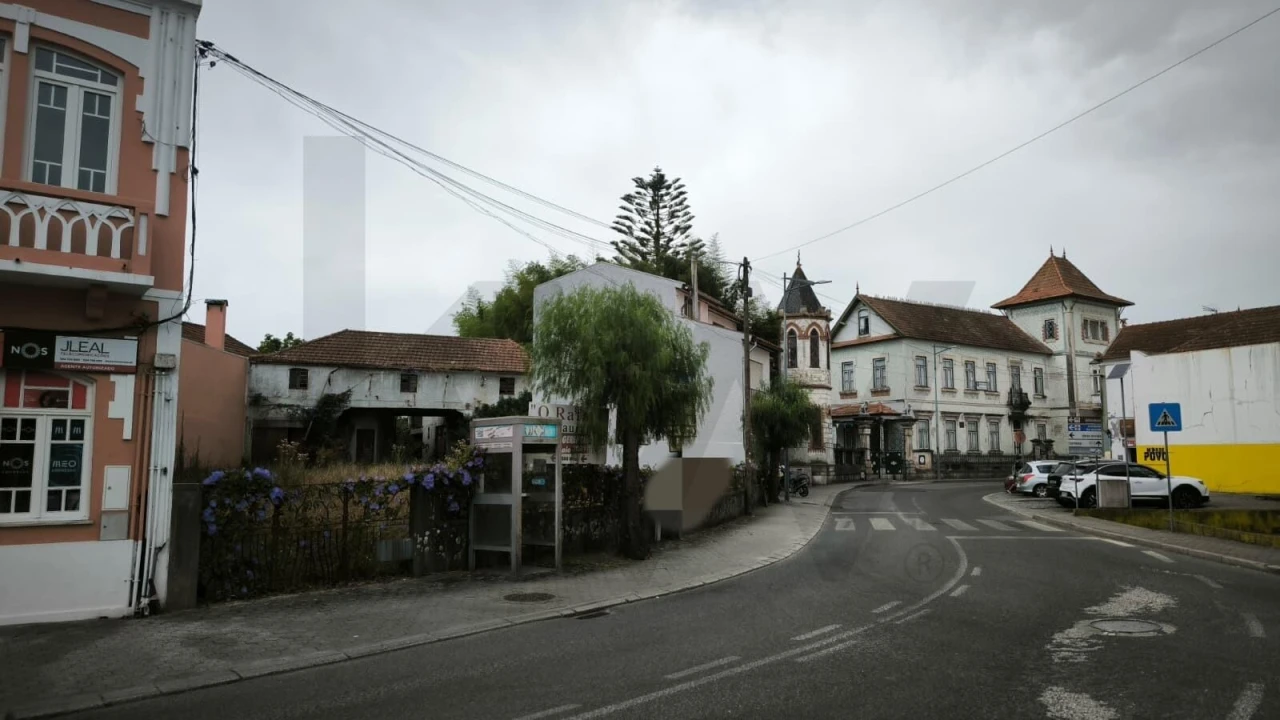 Terreno para Venda em Bustos, Troviscal e Mamarrosa Foto 19