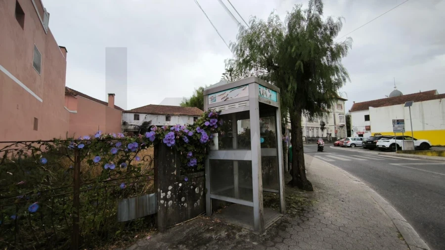 Terreno para Venda em Bustos, Troviscal e Mamarrosa Foto 6
