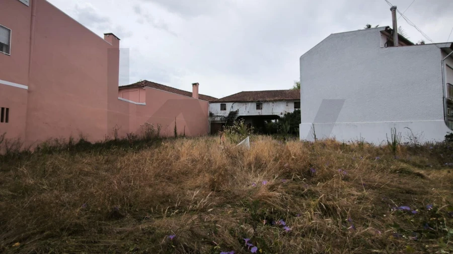 Terreno para Venda em Bustos, Troviscal e Mamarrosa Foto 7