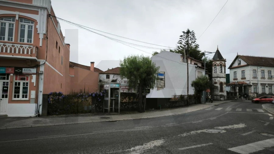 Terreno para Venda em Bustos, Troviscal e Mamarrosa Foto 18