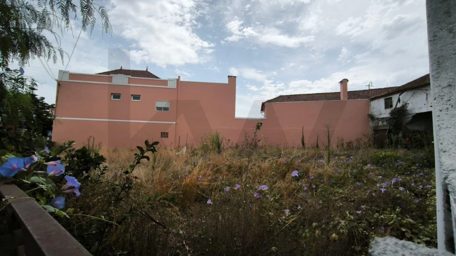 Terreno para Venda em Bustos, Troviscal e Mamarrosa Foto 5