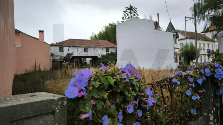 Terreno para Venda em Bustos, Troviscal e Mamarrosa