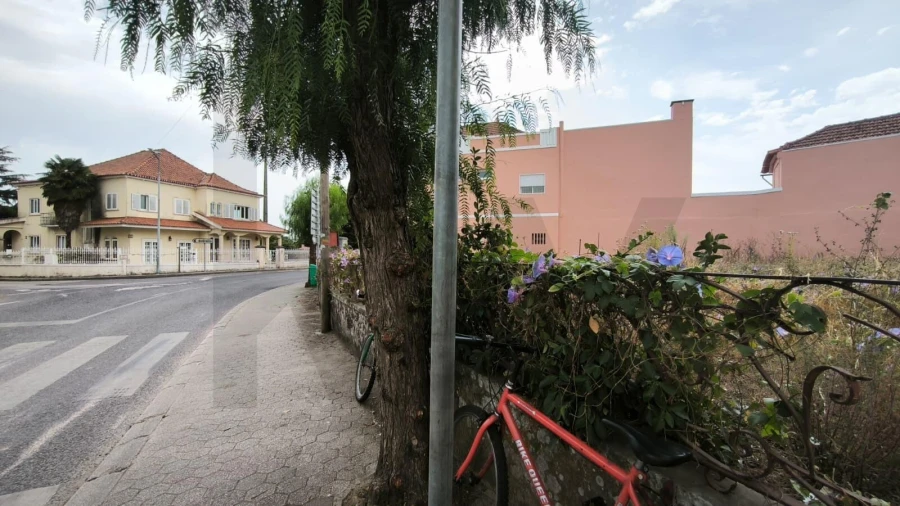 Terreno para Venda em Bustos, Troviscal e Mamarrosa Foto 4