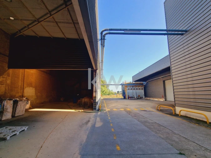 Armazém para Venda em Gavião e Atalaia Foto 39