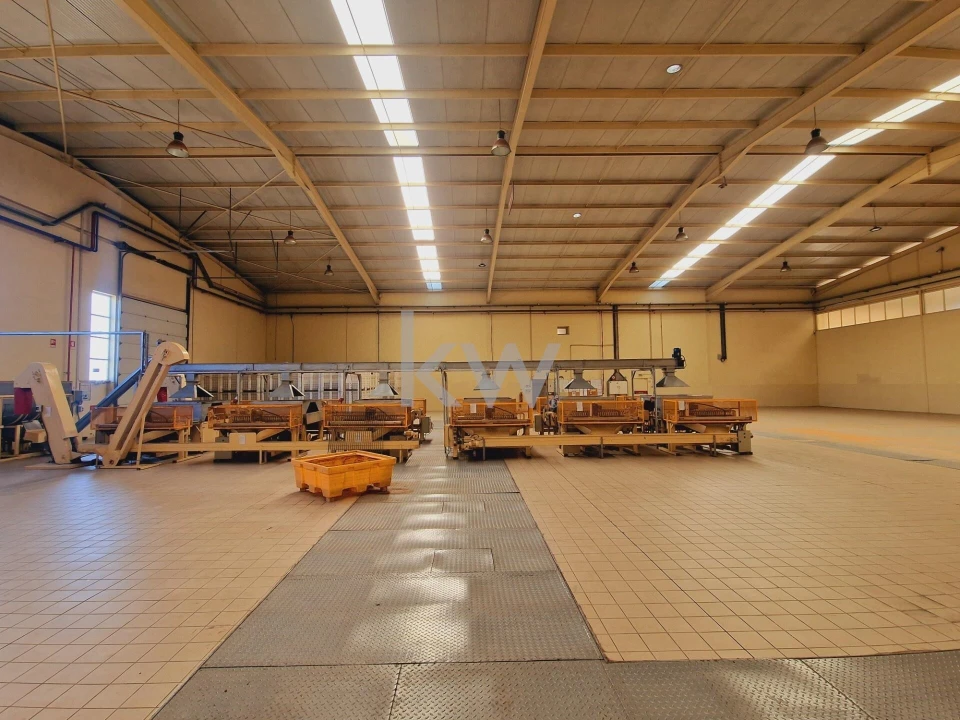 Armazém para Venda em Gavião e Atalaia Foto 33