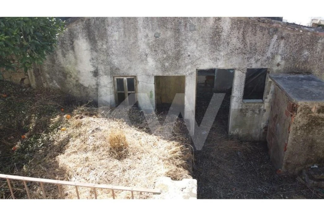 Prédio para Venda em Castelo Branco Foto 15