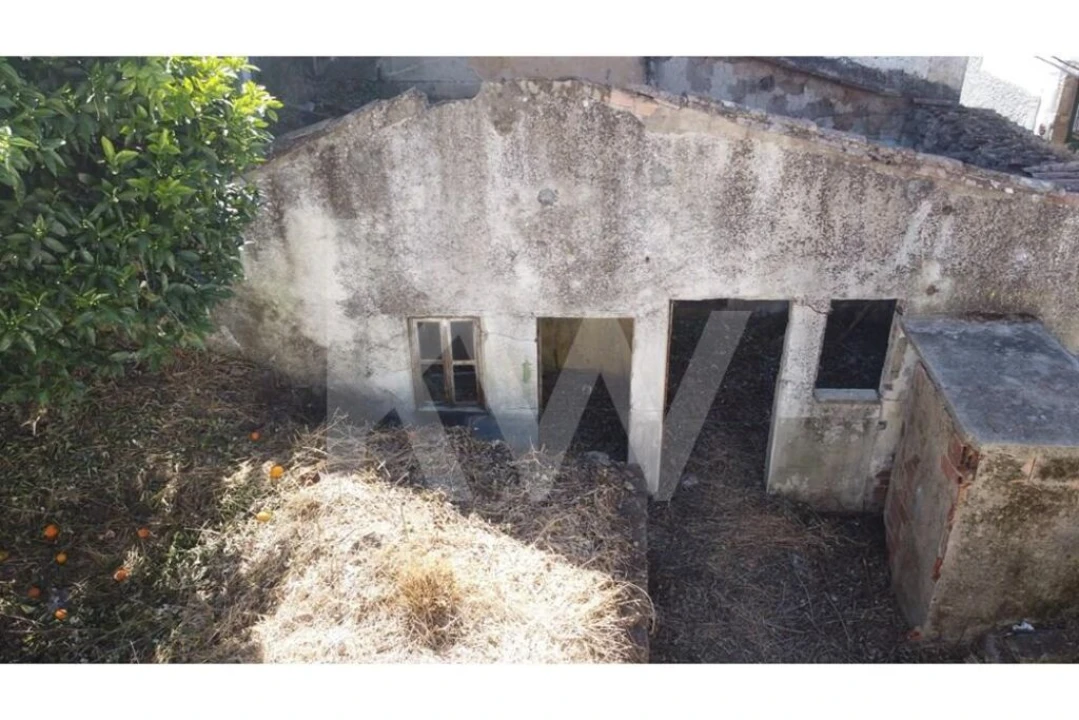 Prédio para Venda em Castelo Branco Foto 11