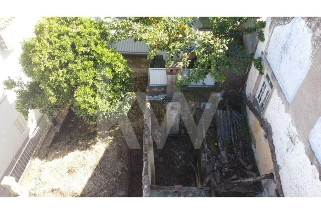 Prédio para Venda em Castelo Branco Foto 21