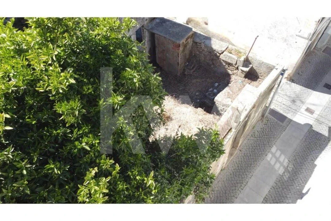 Prédio para Venda em Castelo Branco Foto 10