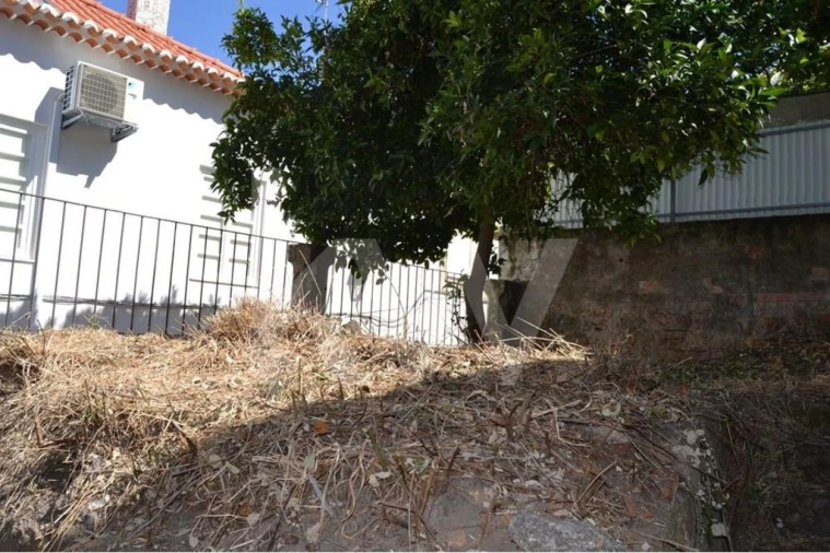 Prédio para Venda em Castelo Branco Foto 24