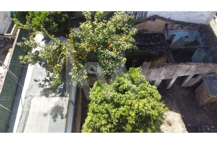 Prédio para Venda em Castelo Branco Foto 9