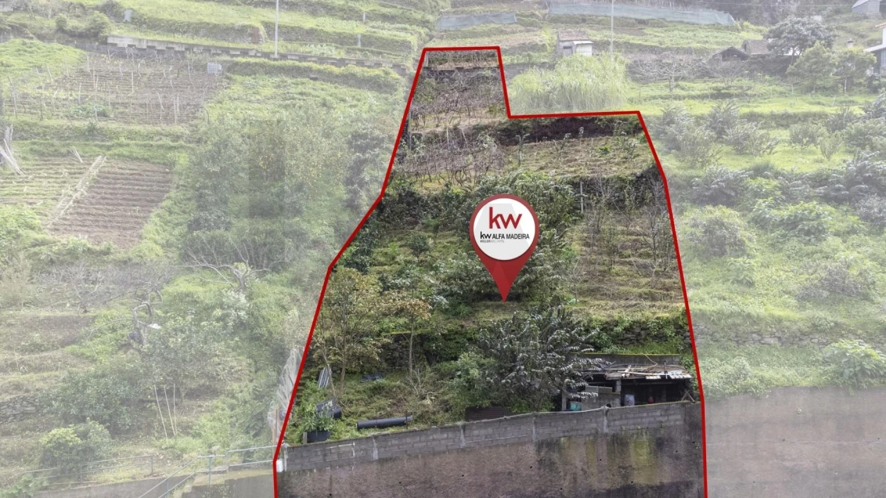 Terreno para Venda em Porto da Cruz Foto 6