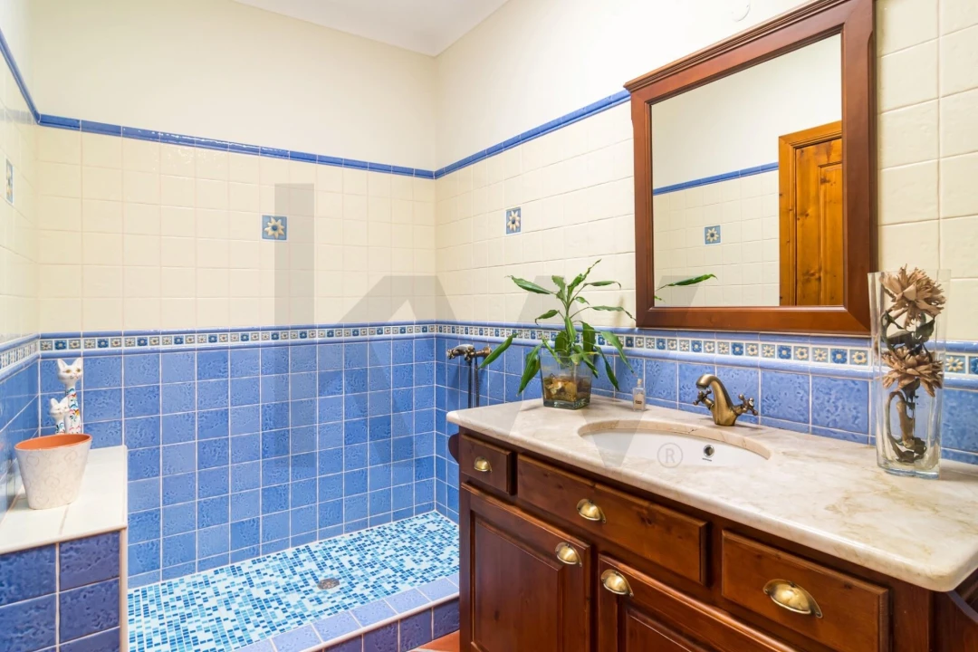 Quinta T4 para Venda em Achete, Azoia de Baixo e Póvoa de Santarém Foto 22