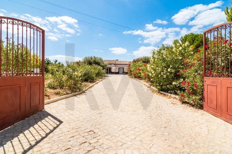 Quinta T4 para Venda em Achete, Azoia de Baixo e Póvoa de Santarém Foto 1