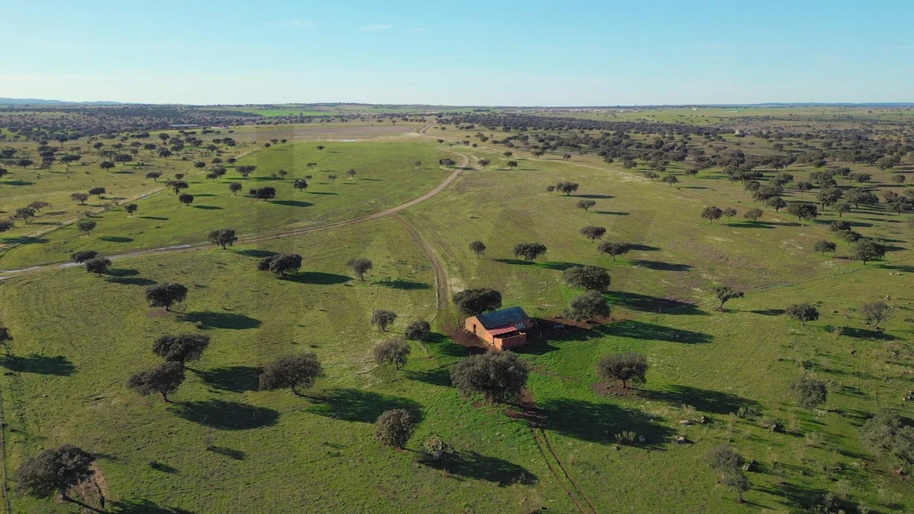 Terreno para Venda em Campo e Campinho Foto 39