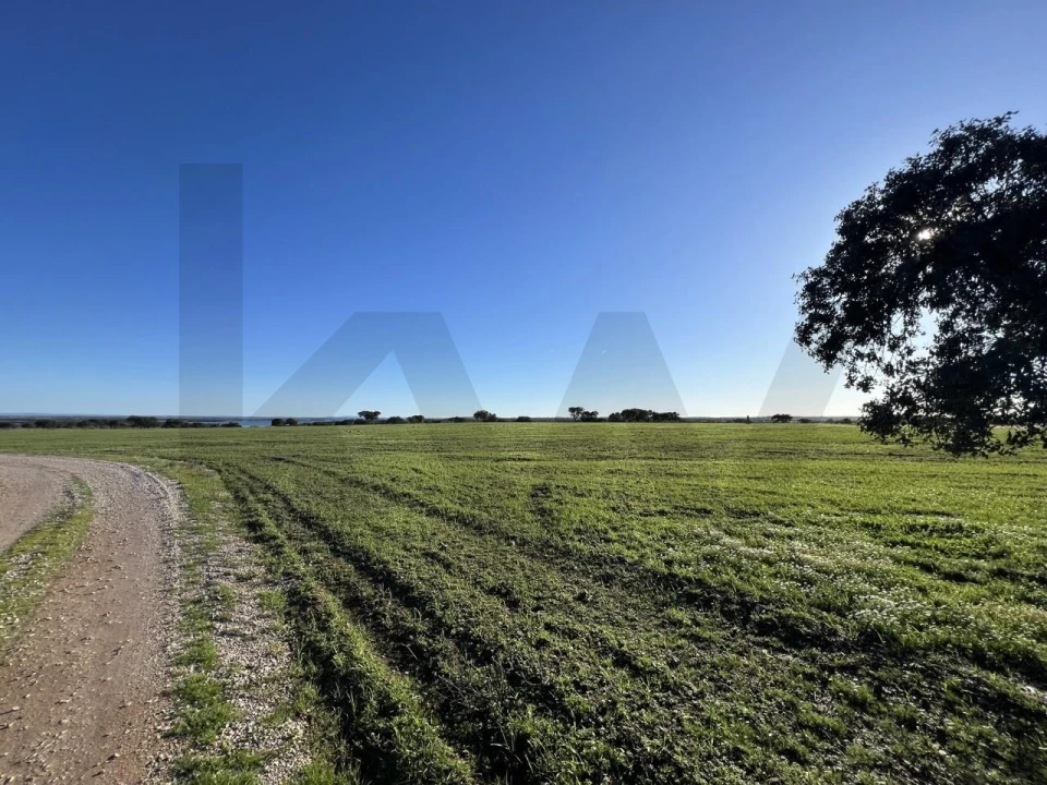Terreno para Venda em Campo e Campinho Foto 31