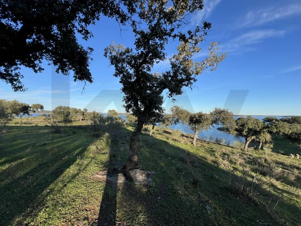 Terreno para Venda em Campo e Campinho Foto 14