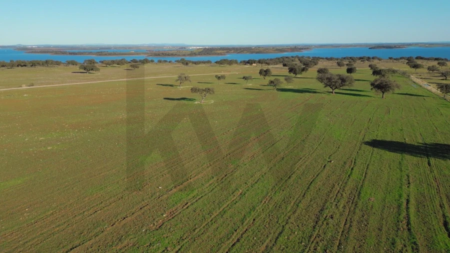 Terreno para Venda em Campo e Campinho Foto 36