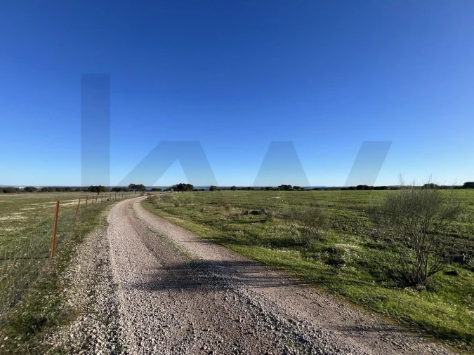 Terreno para Venda em Campo e Campinho Foto 27