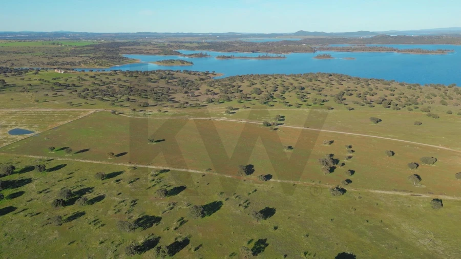 Terreno para Venda em Campo e Campinho Foto 33