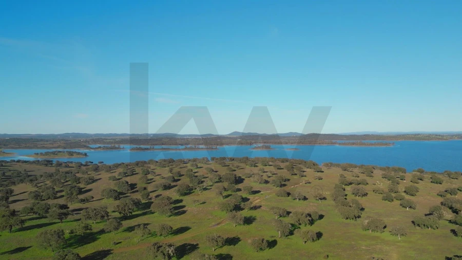Terreno para Venda em Campo e Campinho Foto 34