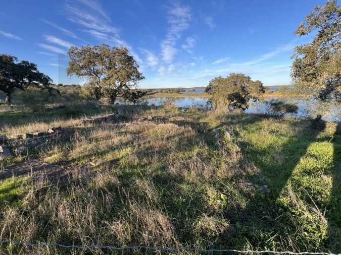 Terreno para Venda em Campo e Campinho Foto 13