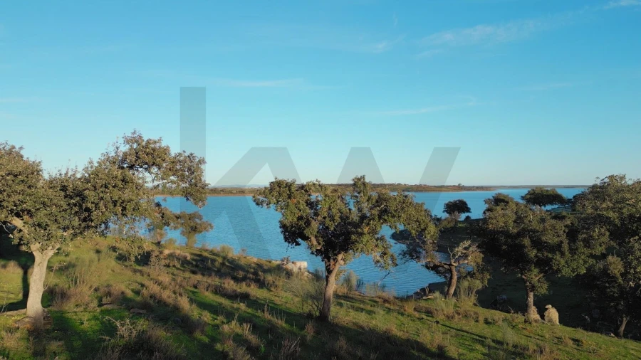 Terreno para Venda em Campo e Campinho Foto 47