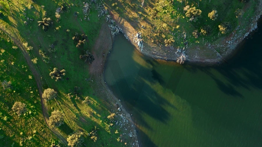 Terreno para Venda em Campo e Campinho Foto 41
