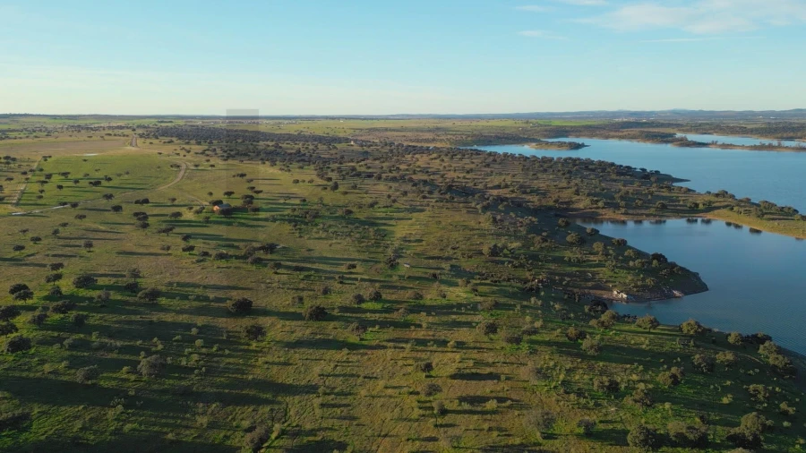 Terreno para Venda em Campo e Campinho Foto 49