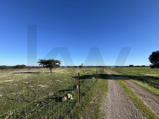 Terreno para Venda em Campo e Campinho Foto 30