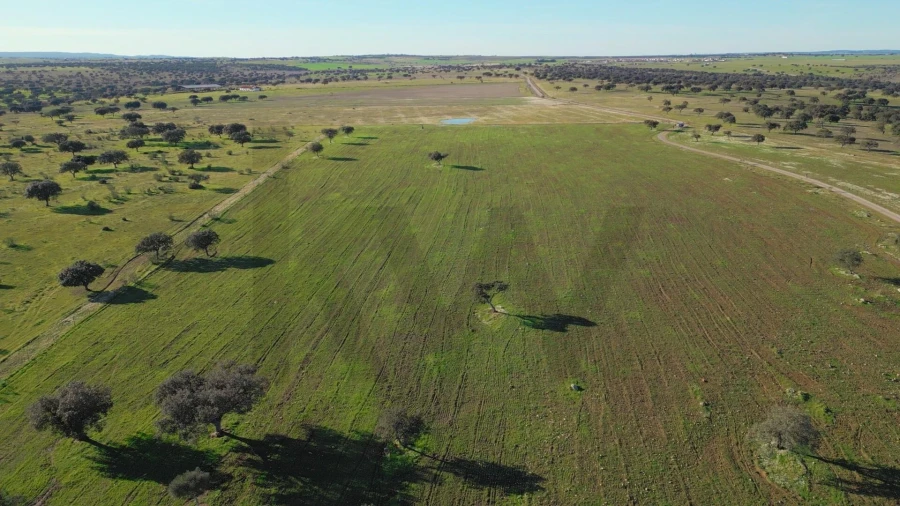 Terreno para Venda em Campo e Campinho Foto 32
