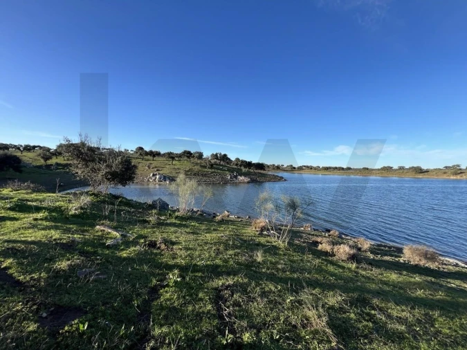 Terreno para Venda em Campo e Campinho Foto 20