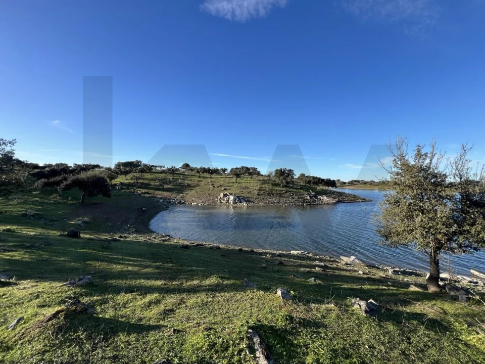 Terreno para Venda em Campo e Campinho Foto 22
