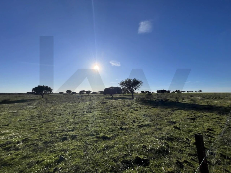 Terreno para Venda em Campo e Campinho Foto 26