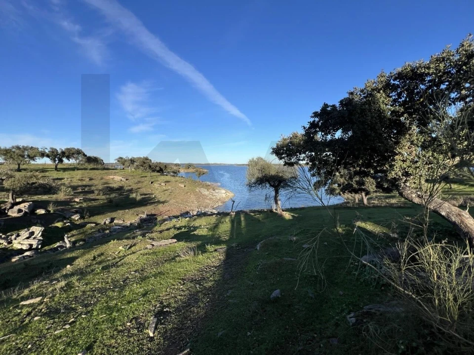 Terreno para Venda em Campo e Campinho Foto 24