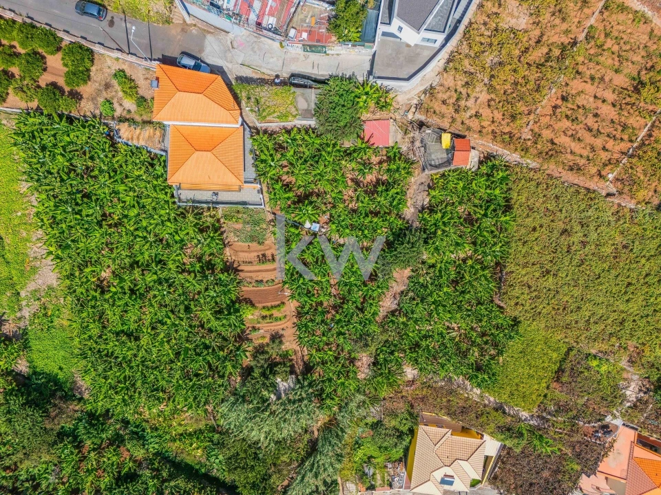 Terreno para Venda em Camara de Lobos Foto 21